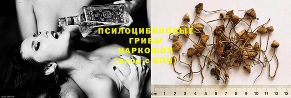 дмт Алексеевка