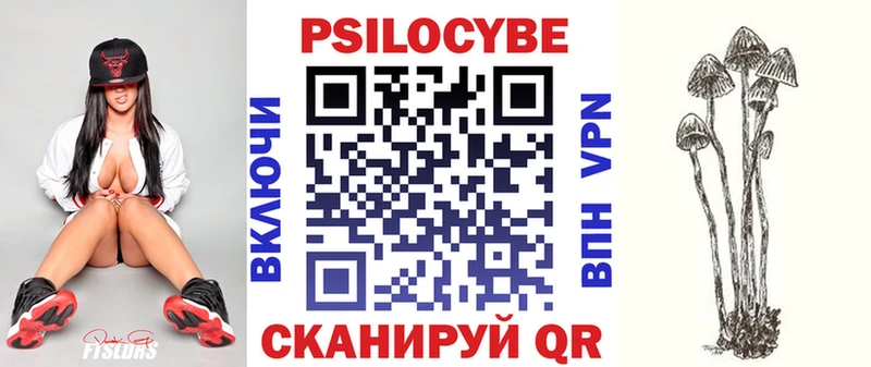 закладки  Алушта  Псилоцибиновые грибы мицелий 