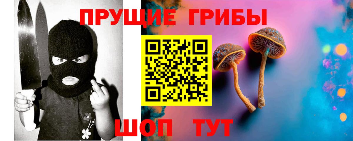 Алушта  Псилоцибиновые грибы GOLDEN TEACHER  Вход с VPN 